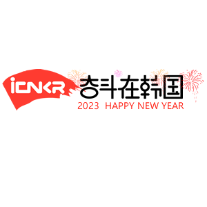 奋斗在韩国