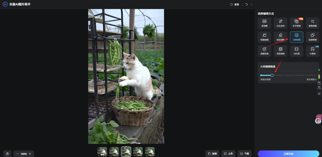 最近很火的爆款猫咪做饭教程拆解
