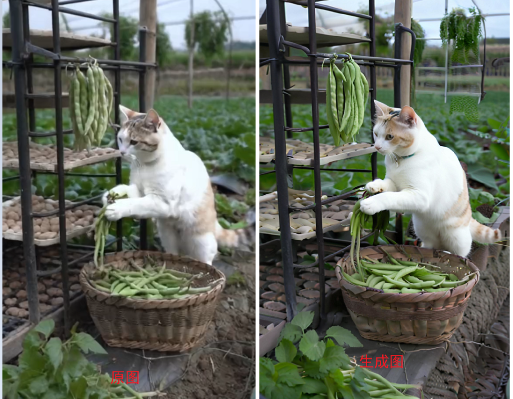 最近很火的爆款猫咪做饭教程拆解