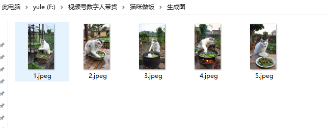 最近很火的爆款猫咪做饭教程拆解