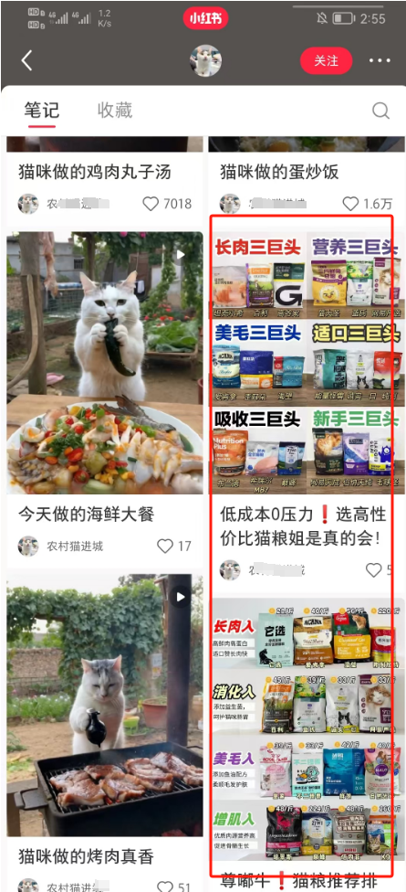 最近很火的爆款猫咪做饭教程拆解