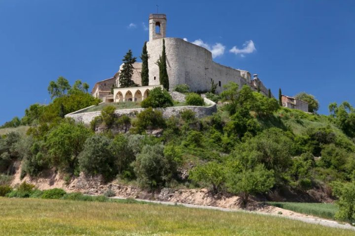 Montfalco Montfalco